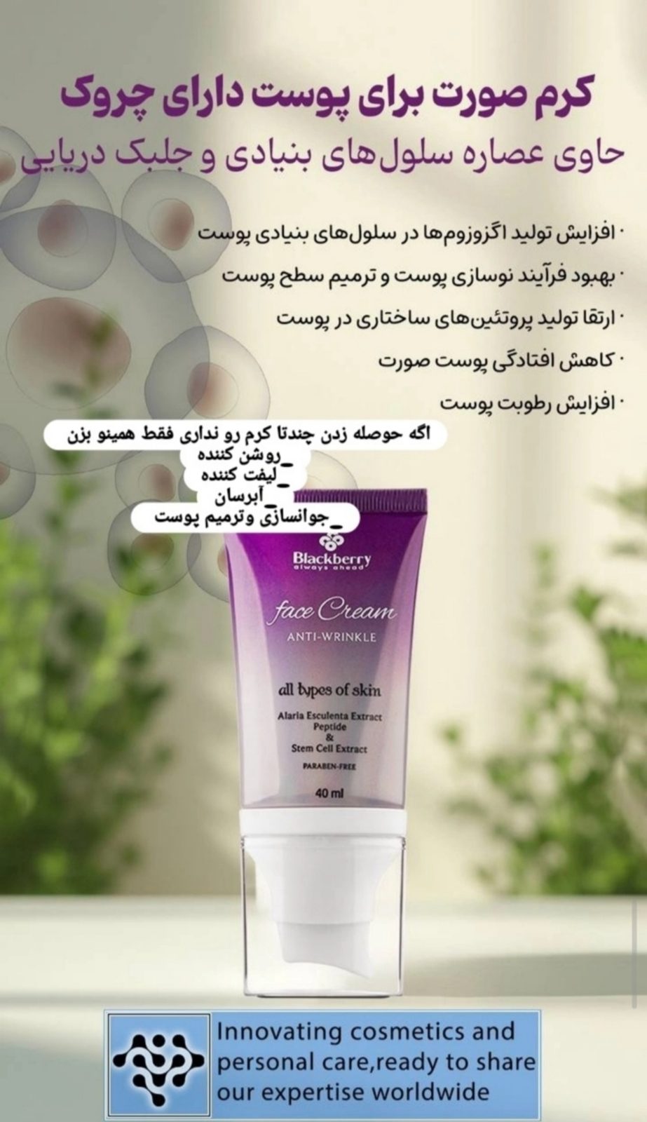 Anti-Wrinkle Cream