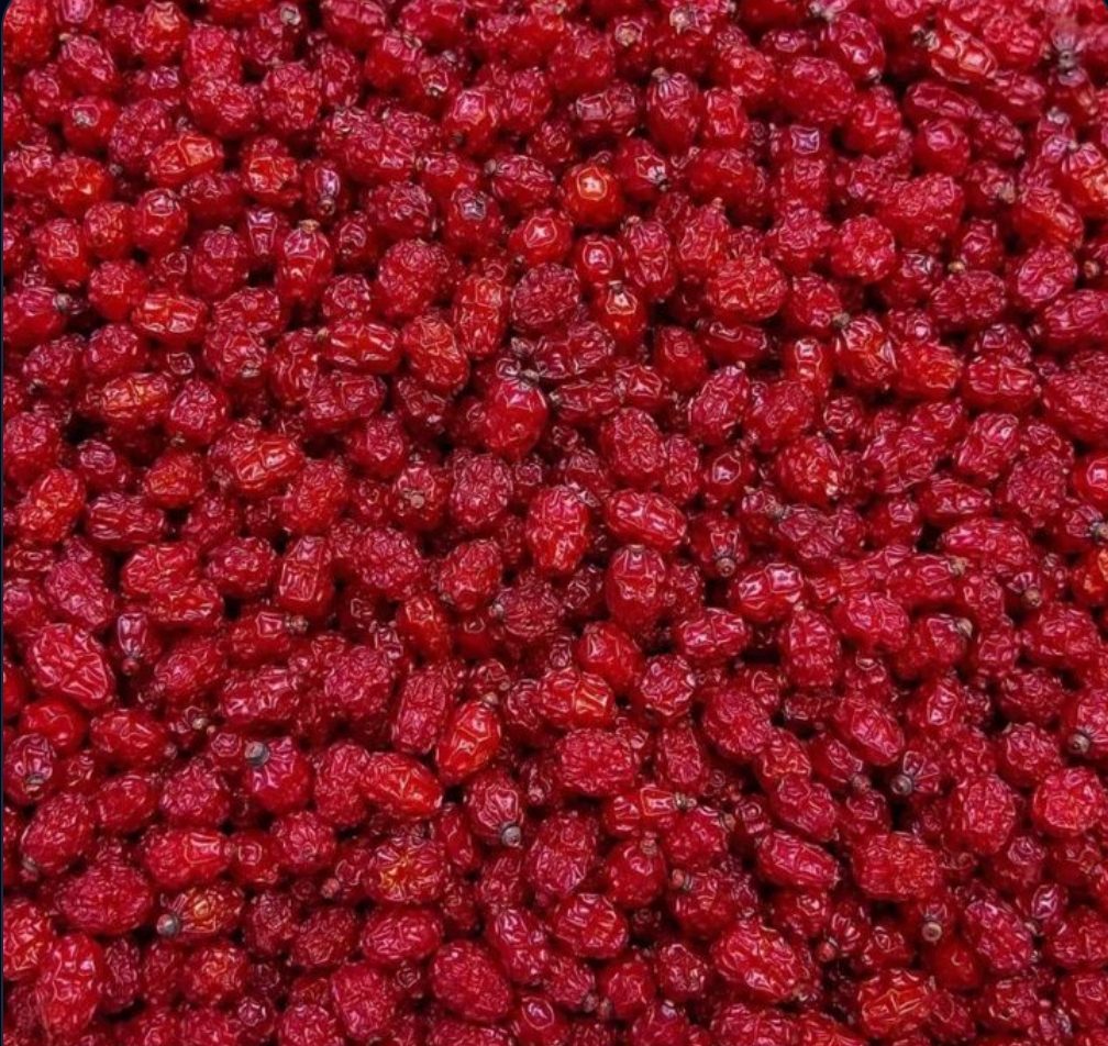 Pars Organic Barberry