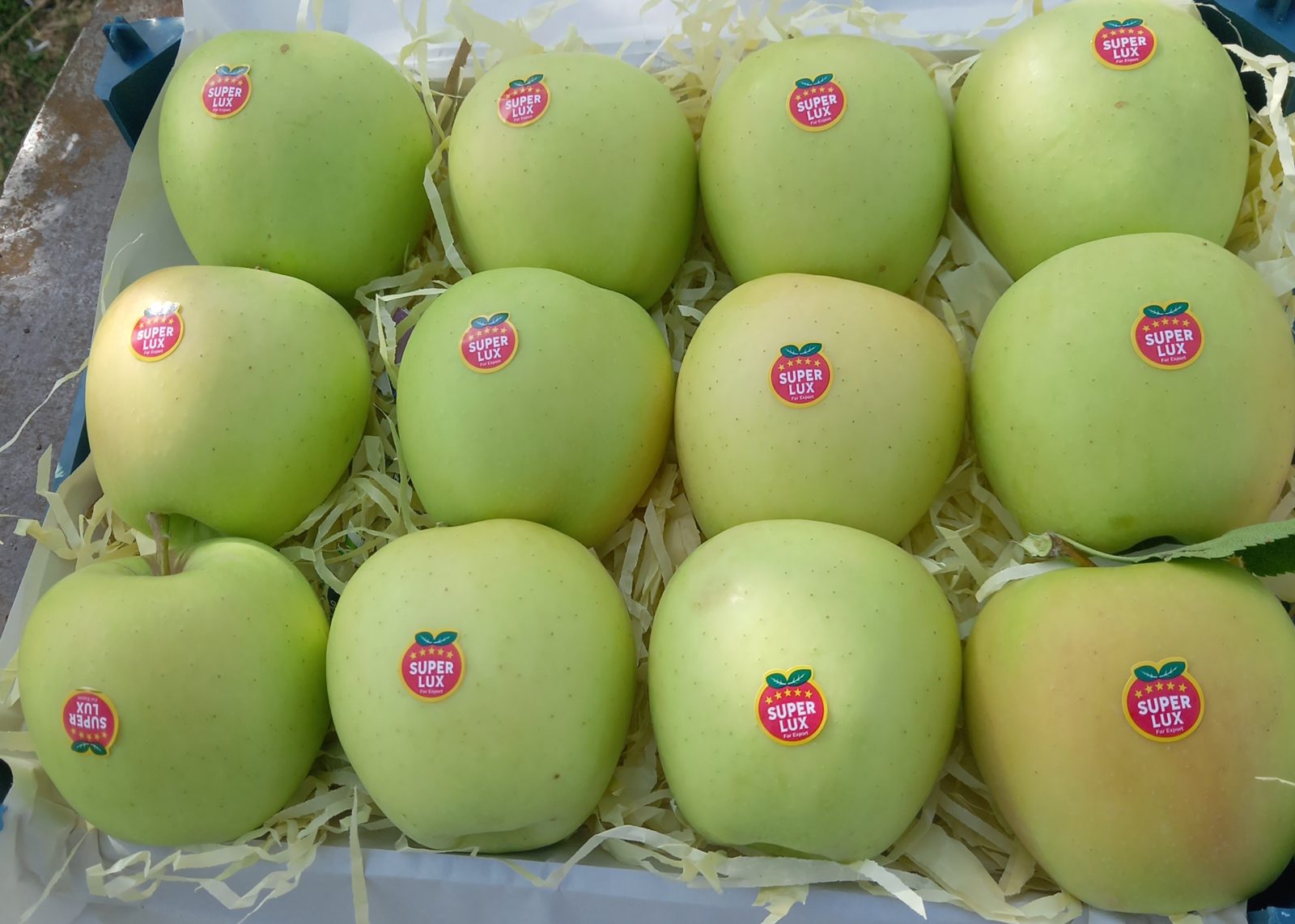Mountain Apples (10kg)