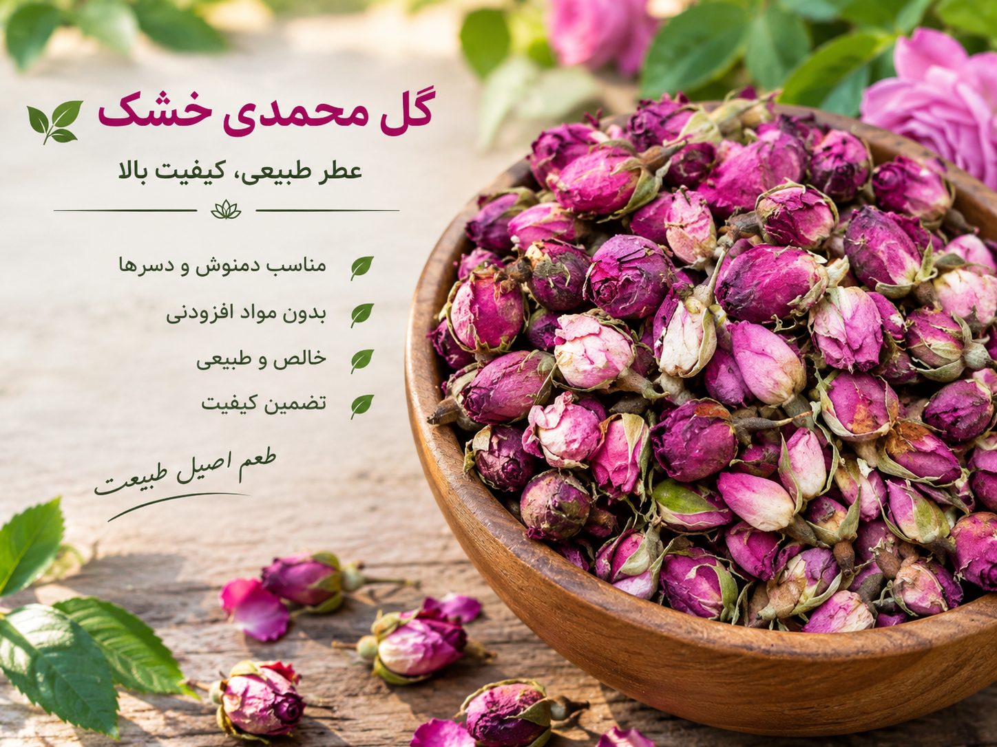 Damask Rose