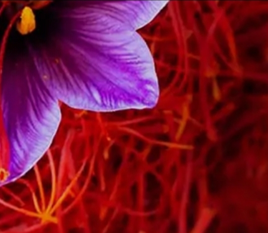Super Negin Saffron