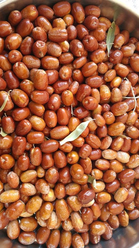 Jujube